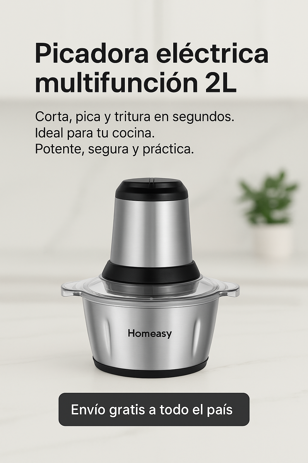 PICADORA ELÉCTRICA HOMEASY